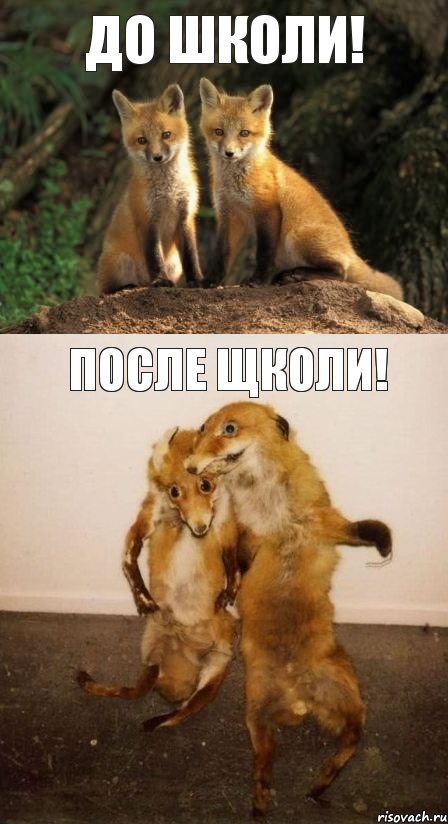 До школи! После щколи!, Комикс Лисицы