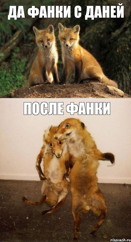 да фанки с Даней После фанки, Комикс Лисицы