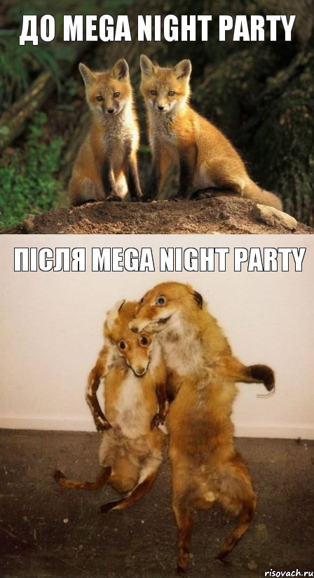 До Mega Night Party Після Mega Night Party, Комикс Лисицы