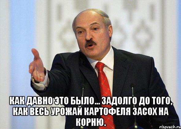  Как давно это было... Задолго до того, как весь урожай картофеля засох на корню.