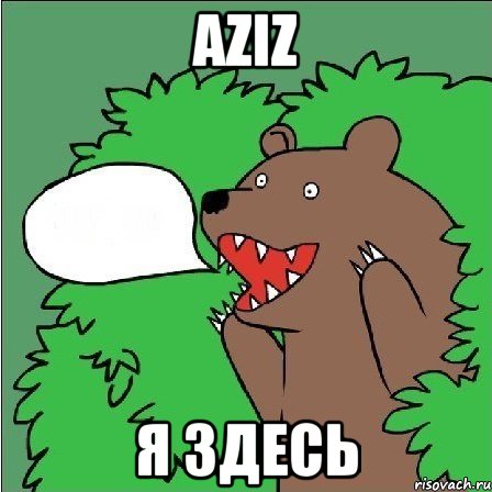 AZIZ Я ЗДЕСЬ, Мем Медведь-шлюха