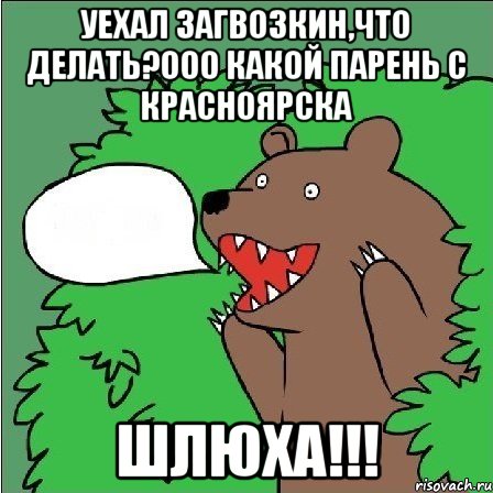 Уехал загвозкин,что делать?ооо какой парень с красноярска Шлюха!!!, Мем Медведь-шлюха