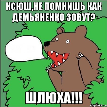 Ксюш,не помнишь как демьяненко зовут? Шлюха!!!, Мем Медведь-шлюха