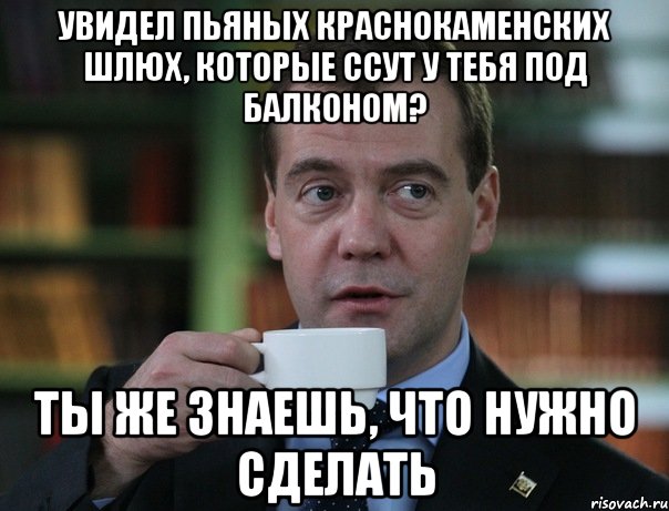 УВИДЕЛ ПЬЯНЫХ КРАСНОКАМЕНСКИХ ШЛЮХ, КОТОРЫЕ ССУТ У ТЕБЯ ПОД БАЛКОНОМ? ТЫ ЖЕ ЗНАЕШЬ, ЧТО НУЖНО СДЕЛАТЬ, Мем Медведев спок бро