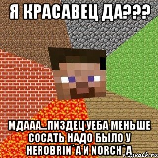 Я красавец да??? Мдааа...Пиздец уеба меньше сосать надо было у Herobrin`a и Norch`a, Мем Миникрафтер