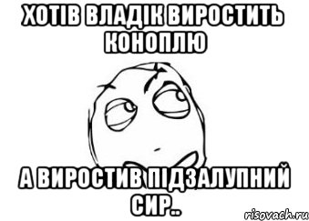 Хотів Владік виростить коноплю а виростив ПІДЗАЛУПНИЙ СИР.., Мем Мне кажется или