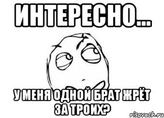 Интересно... У меня одной брат жрёт за троих?, Мем Мне кажется или