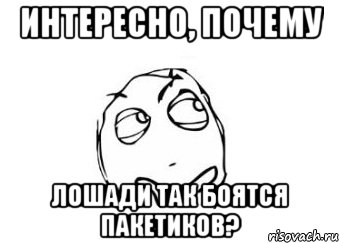 Интересно, почему лошади так боятся пакетиков?, Мем Мне кажется или