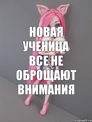 новая ученица все не оброщают внимания