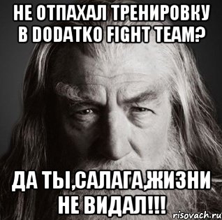 НЕ ОТПАХАЛ ТРЕНИРОВКУ В DODATKO FIGHT TEAM? ДА ТЫ,САЛАГА,ЖИЗНИ НЕ ВИДАЛ!!!, Мем  Гендальф-мудрец