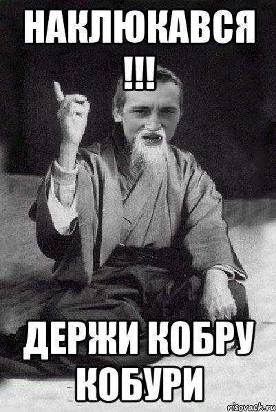 наклюкався !!! держи кобру кобури, Мем Мудрий паца