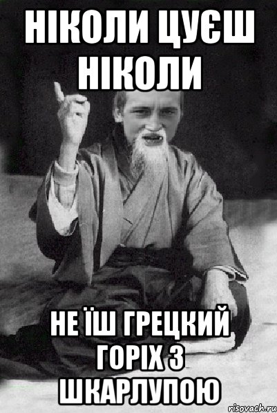 Ніколи цуєш ніколи Не їш грецкий горіх з шкарлупою, Мем Мудрий паца