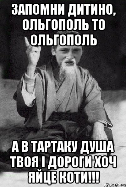 Запомни дитино, Ольгополь то Ольгополь а в Тартаку душа твоя і дороги хоч яйце коти!!!, Мем Мудрий паца