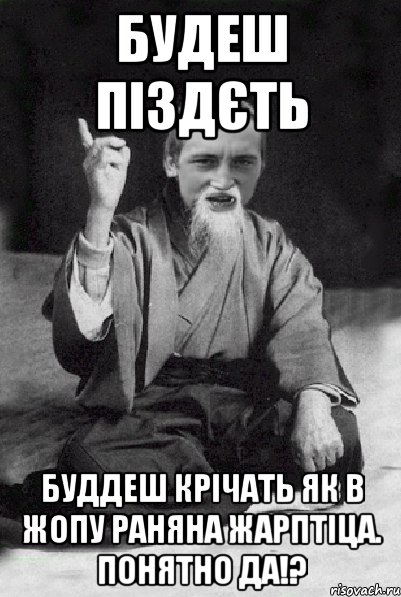 Будеш піздєть Буддеш крічать як в жопу раняна Жарптіца. Понятно да!?, Мем Мудрий паца