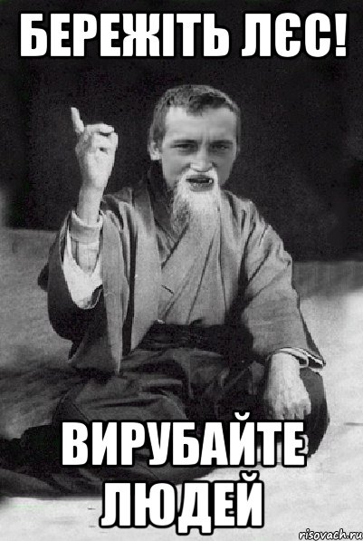 Бережіть лєс! Вирубайте людей, Мем Мудрий паца