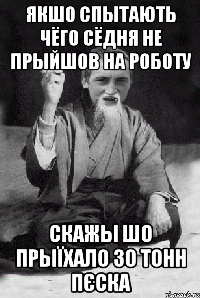 якшо спытають чёго сёдня не прыйшов на роботу скажы шо прыїхало 30 тонн пєска, Мем Мудрий паца