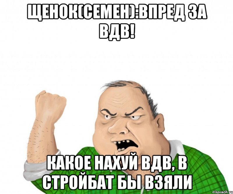 Щенок(семен):Впред за ВДВ! Какое нахуй ВДВ, в стройбат бы взяли, Мем мужик