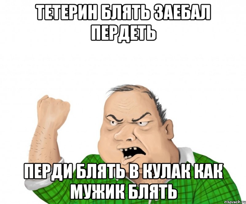 Тетерин блять заебал пердеть перди блять в кулак как мужик блять, Мем мужик