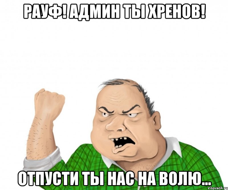 РАУФ! АДМИН ТЫ ХРЕНОВ! ОТПУСТИ ТЫ НАС НА ВОЛЮ..., Мем мужик