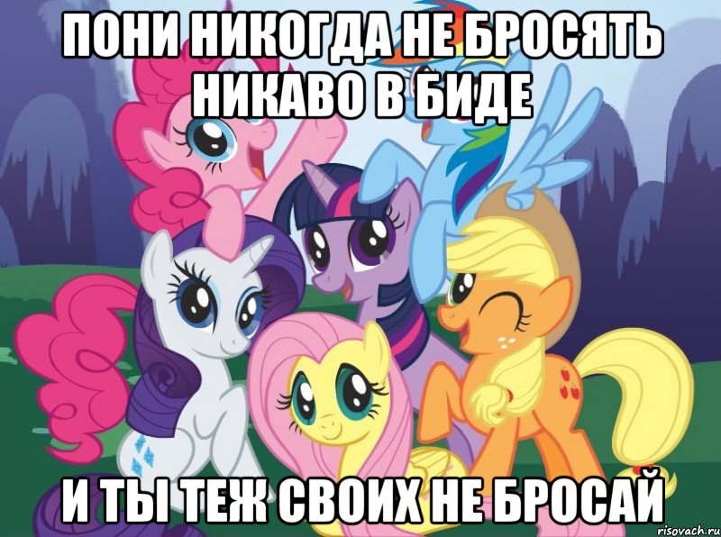 пони никогда не бросять никаво в биде и ты теж своих не бросай, Мем My little pony