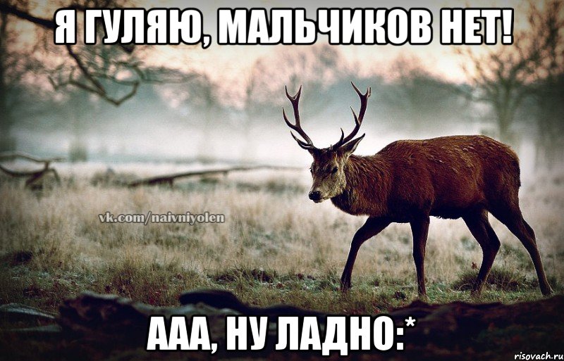 Я гуляю, мальчиков нет! Ааа, ну ладно:*, Мем naivehole