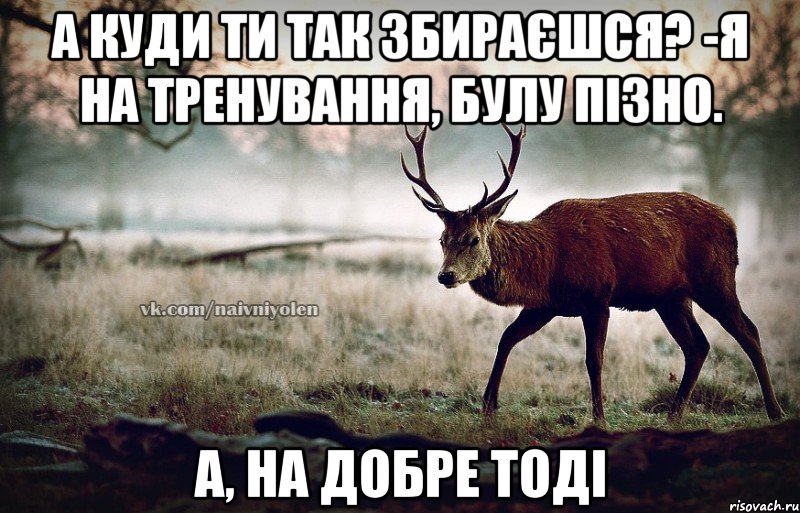 А куди ти так збираєшся? -Я на тренування, булу пізно. А, на добре тоді, Мем naivehole