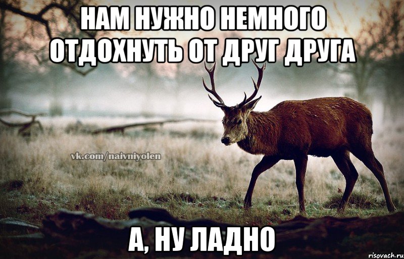 Нам нужно немного отдохнуть от друг друга А, ну ладно, Мем naivehole