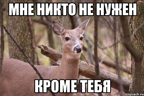 Мне никто не нужен КРОМЕ ТЕБЯ