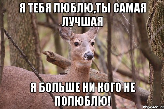 Я тебя люблю,ты самая лучшая я больше ни кого не полюблю!