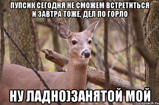 Пупсик сегодня не сможем встретиться и завтра тоже, дел по горло Ну ладно)занятой мой