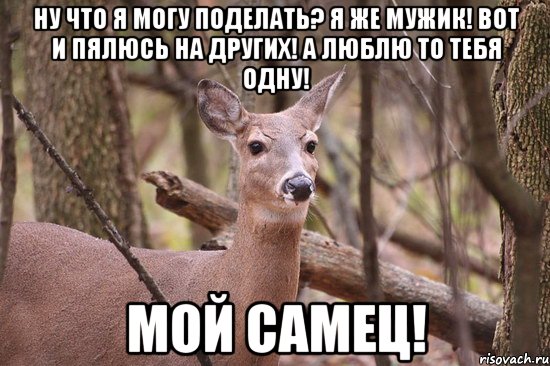 ну что я могу поделать? я же мужик! вот и пялюсь на других! а люблю то тебя одну! Мой самец!