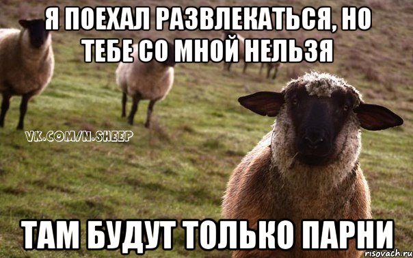 я поехал развлекаться, но тебе со мной нельзя там будут только парни, Мем  Наивная Овца