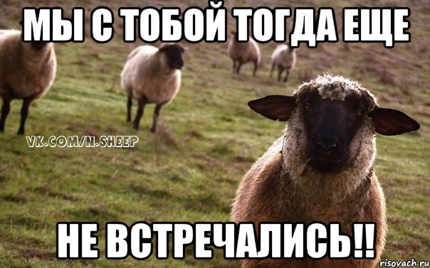 Мы с тобой тогда еще Не встречались!!, Мем  Наивная Овца