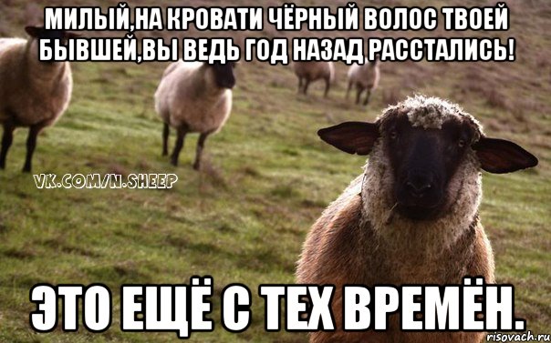 милый,на кровати чёрный волос твоей бывшей,вы ведь год назад расстались! это ещё с тех времён., Мем  Наивная Овца