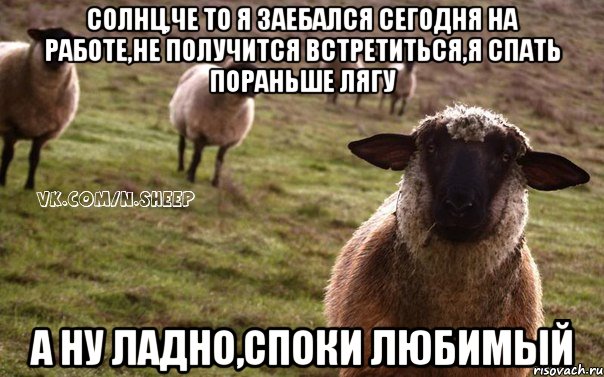 Солнц,че то я заебался сегодня на работе,не получится встретиться,я спать пораньше лягу А ну ладно,споки любимый, Мем  Наивная Овца