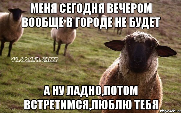 Меня сегодня вечером вообще в городе не будет а ну ладно,потом встретимся,люблю тебя, Мем  Наивная Овца