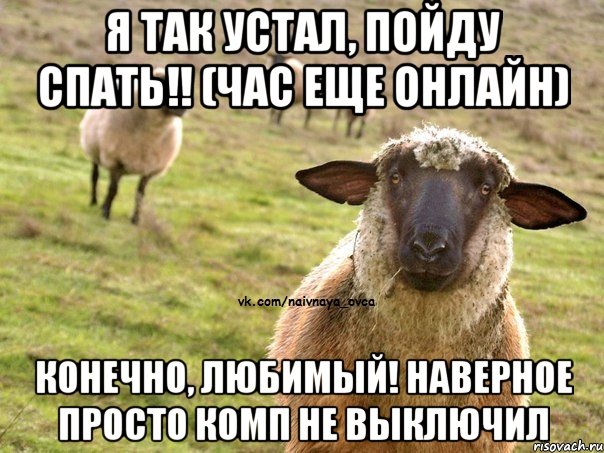 Я так устал, пойду спать!! (час еще онлайн) Конечно, любимый! Наверное просто комп не выключил, Мем  Наивная Овца