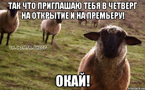 так что приглашаю тебя в четверг на открытие и на премьеру! окай!, Мем  Наивная Овца