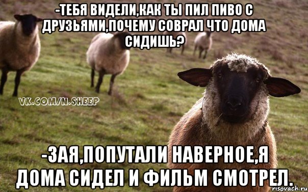 -тебя видели,как ты пил пиво с друзьями,почему соврал что дома сидишь? -зая,попутали наверное,я дома сидел и фильм смотрел., Мем  Наивная Овца