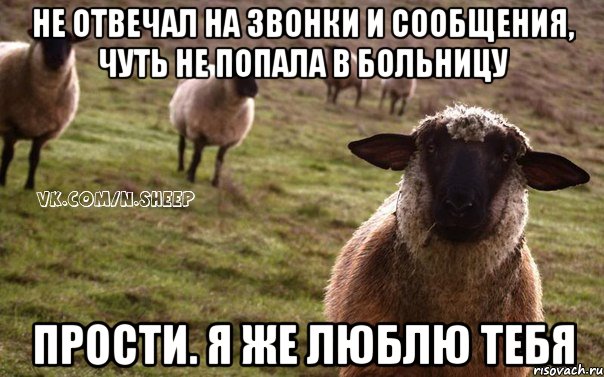 Не отвечал на звонки и сообщения, чуть не попала в больницу Прости. Я же люблю тебя, Мем  Наивная Овца