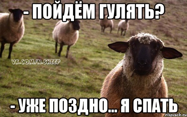 - пойдём гулять? - уже поздно... я спать, Мем  Наивная Овца