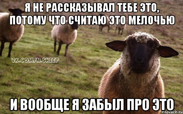 Я НЕ РАССКАЗЫВАЛ ТЕБЕ ЭТО, ПОТОМУ ЧТО СЧИТАЮ ЭТО МЕЛОЧЬЮ И ВООБЩЕ Я ЗАБЫЛ ПРО ЭТО, Мем  Наивная Овца