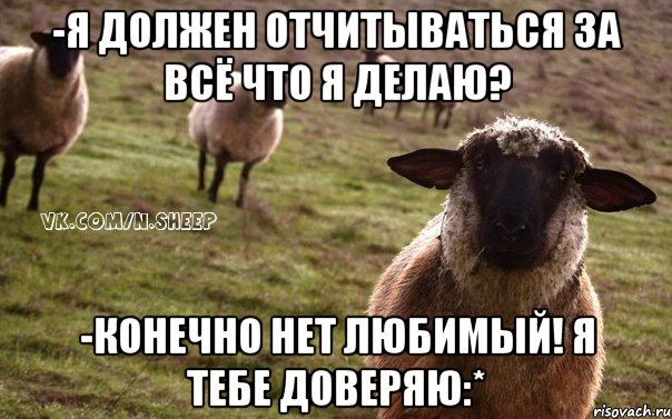 -Я ДОЛЖЕН ОТЧИТЫВАТЬСЯ ЗА ВСЁ ЧТО Я ДЕЛАЮ? -КОНЕЧНО НЕТ ЛЮБИМЫЙ! Я ТЕБЕ ДОВЕРЯЮ:*, Мем  Наивная Овца