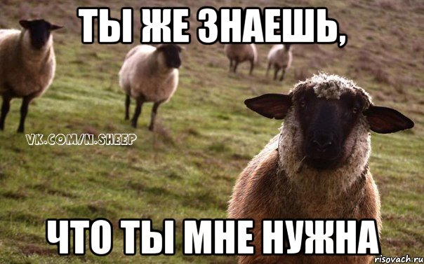 ты же знаешь, что ты мне нужна, Мем  Наивная Овца