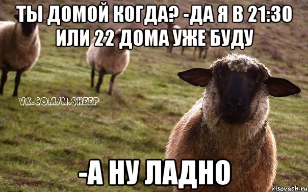 ты домой когда? -да я в 21:30 или 22 дома уже буду -а ну ладно, Мем  Наивная Овца