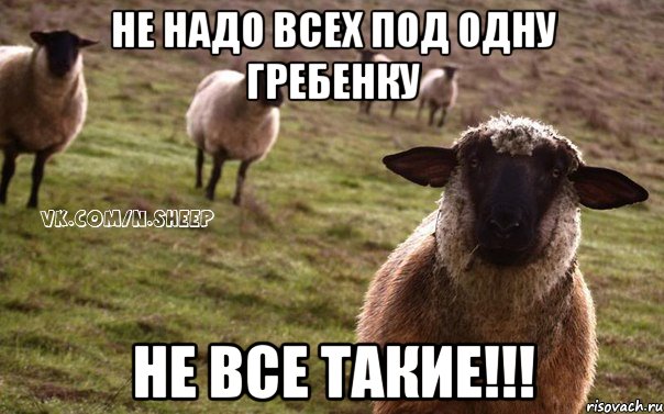 Не надо всех под одну гребенку Не все такие!!!, Мем  Наивная Овца