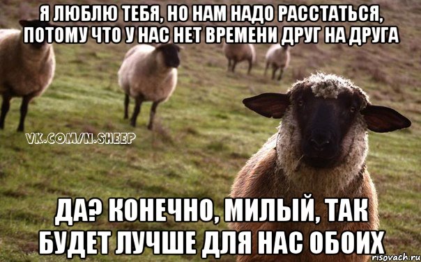 Я люблю тебя, но нам надо расстаться, потому что у нас нет времени друг на друга Да? Конечно, милый, так будет лучше для нас обоих, Мем  Наивная Овца