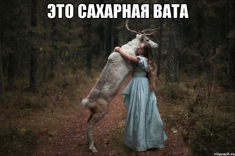 Это сахарная вата 