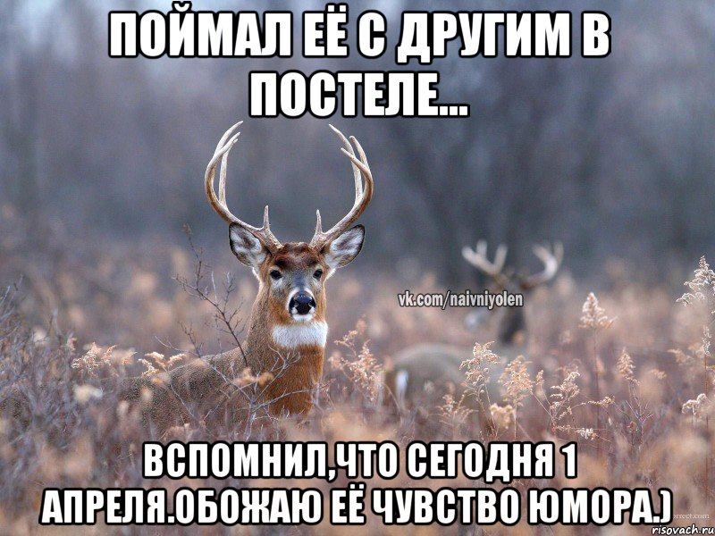 Поймал её с другим в постеле... Вспомнил,что сегодня 1 апреля.обожаю её чувство юмора.), Мем   Наивный олень