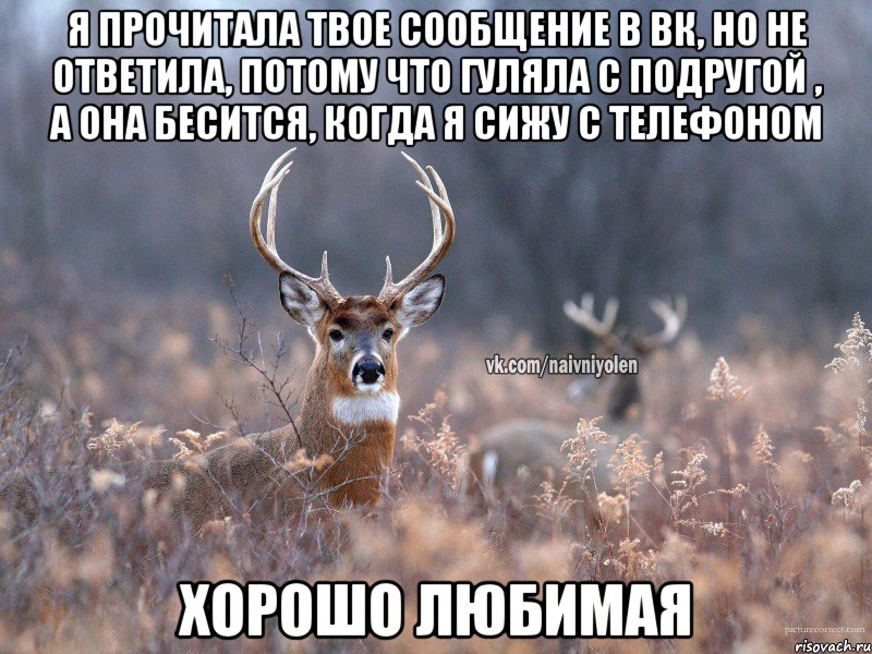 я прочитала твое сообщение в вк, но не ответила, потому что гуляла с подругой , а она бесится, когда я сижу с телефоном хорошо любимая, Мем   Наивный олень